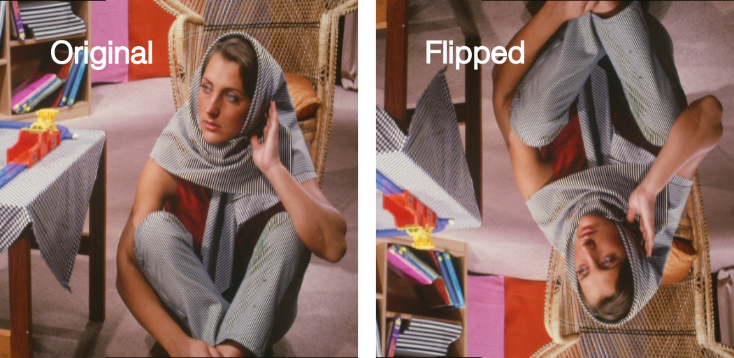 Flipped image