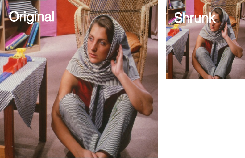 Shrunk image