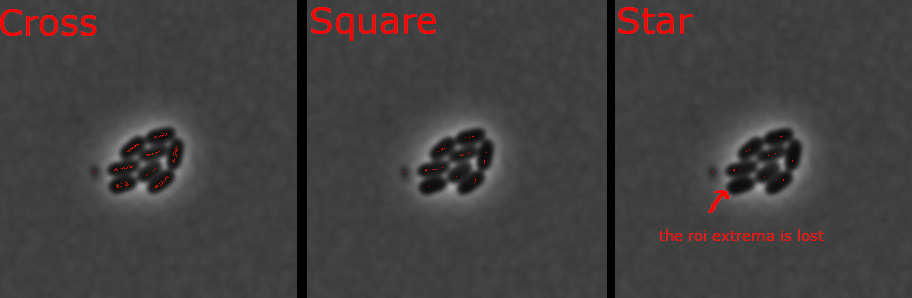 Different algorithms and extrema